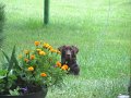 2009_07_28 Hemi_0521